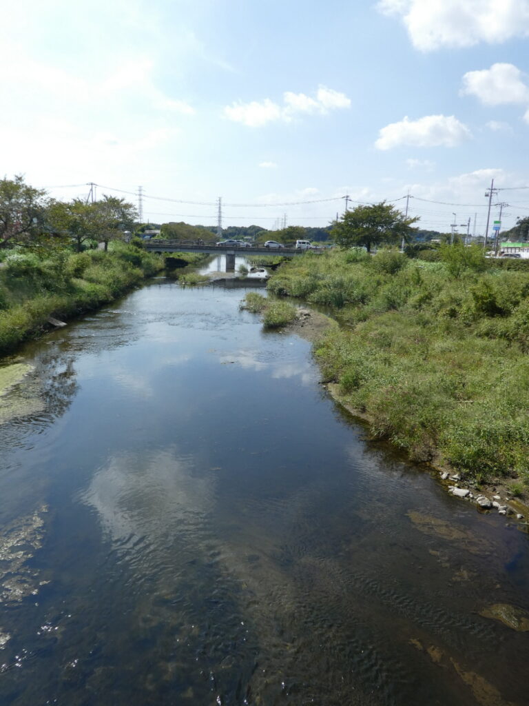 初秋の国分川を歩く