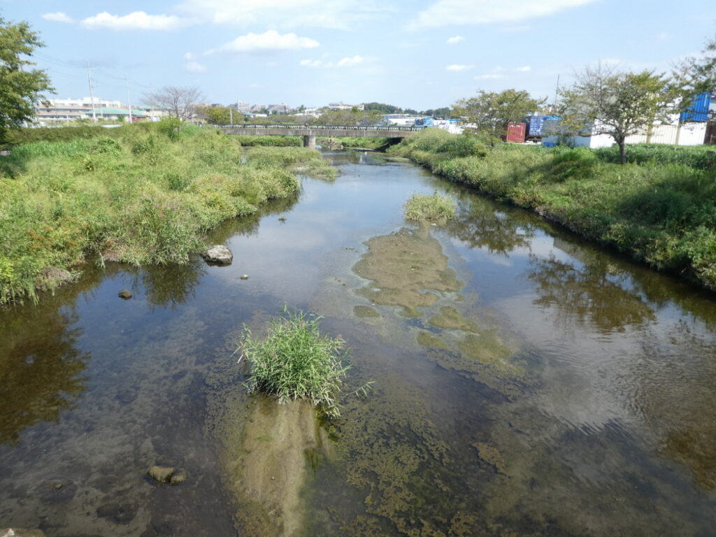 初秋の国分川を歩く