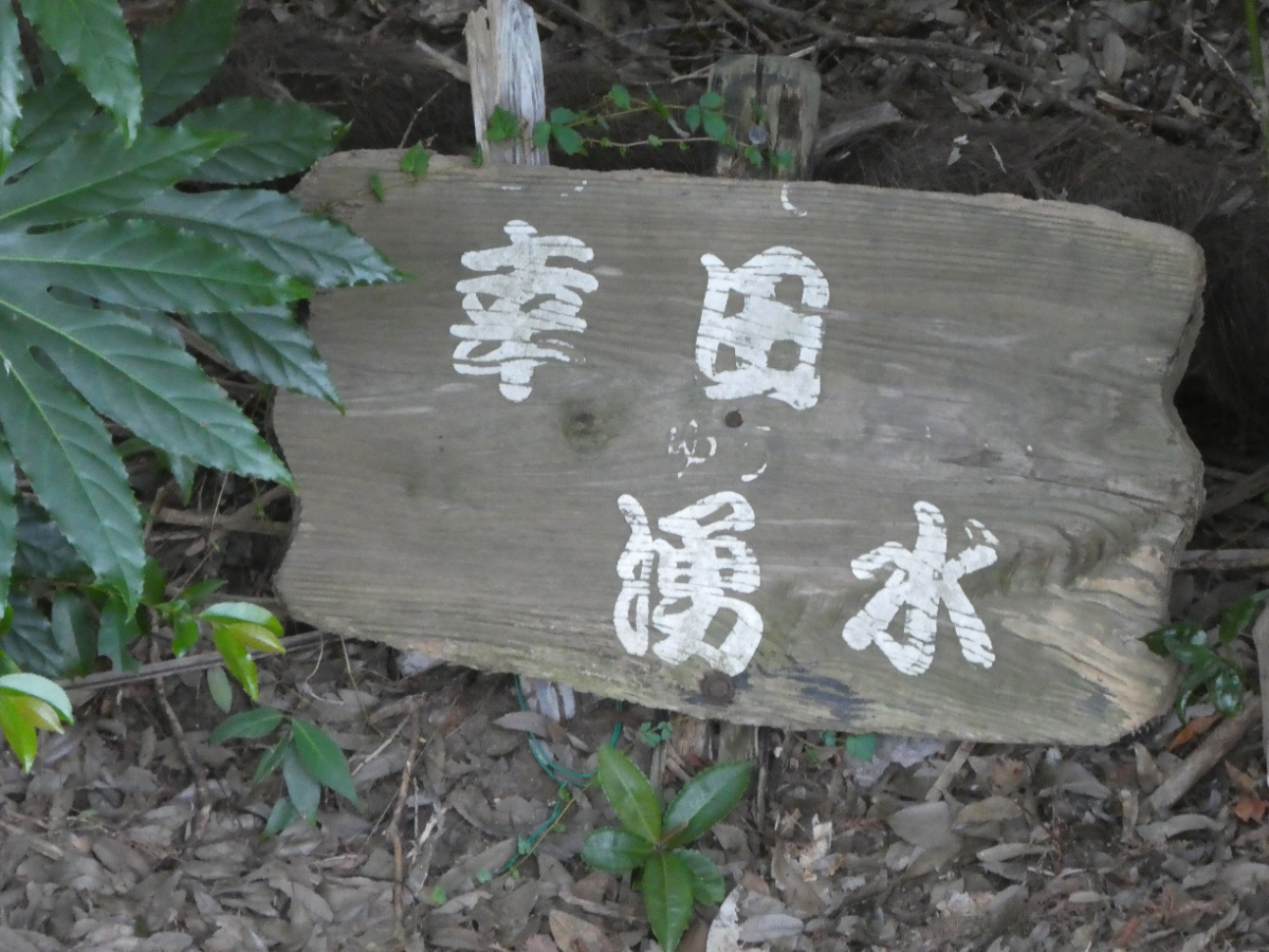 幸田湧水（松戸市幸田）