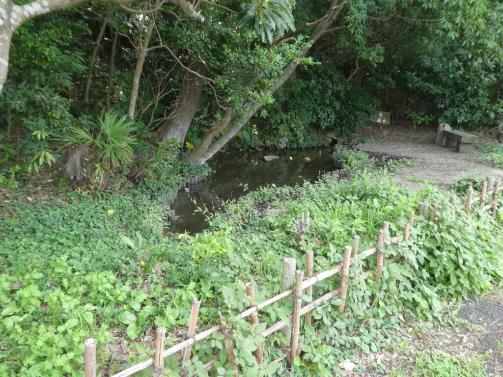 幸田湧水（松戸市幸田）