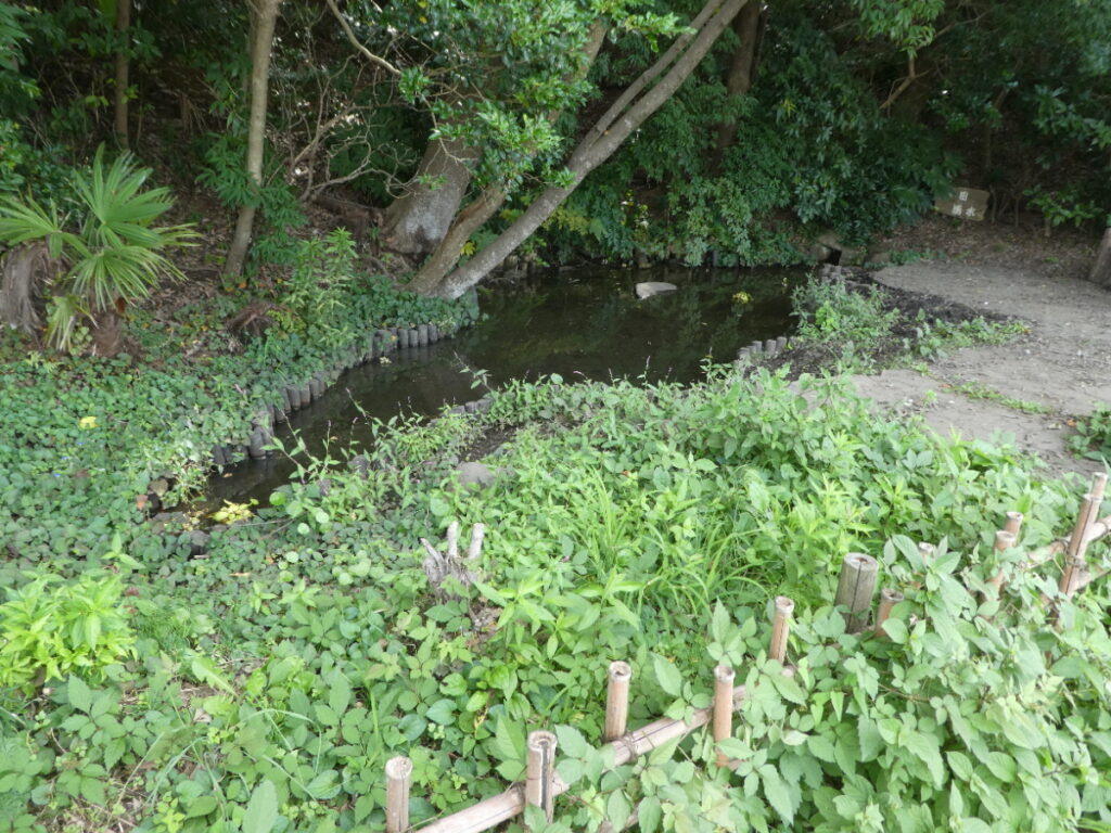幸田湧水（松戸市幸田）