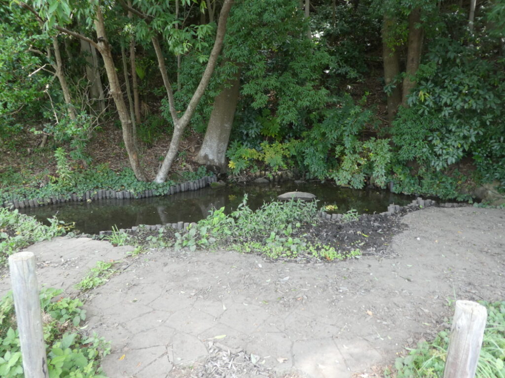幸田湧水（松戸市幸田）