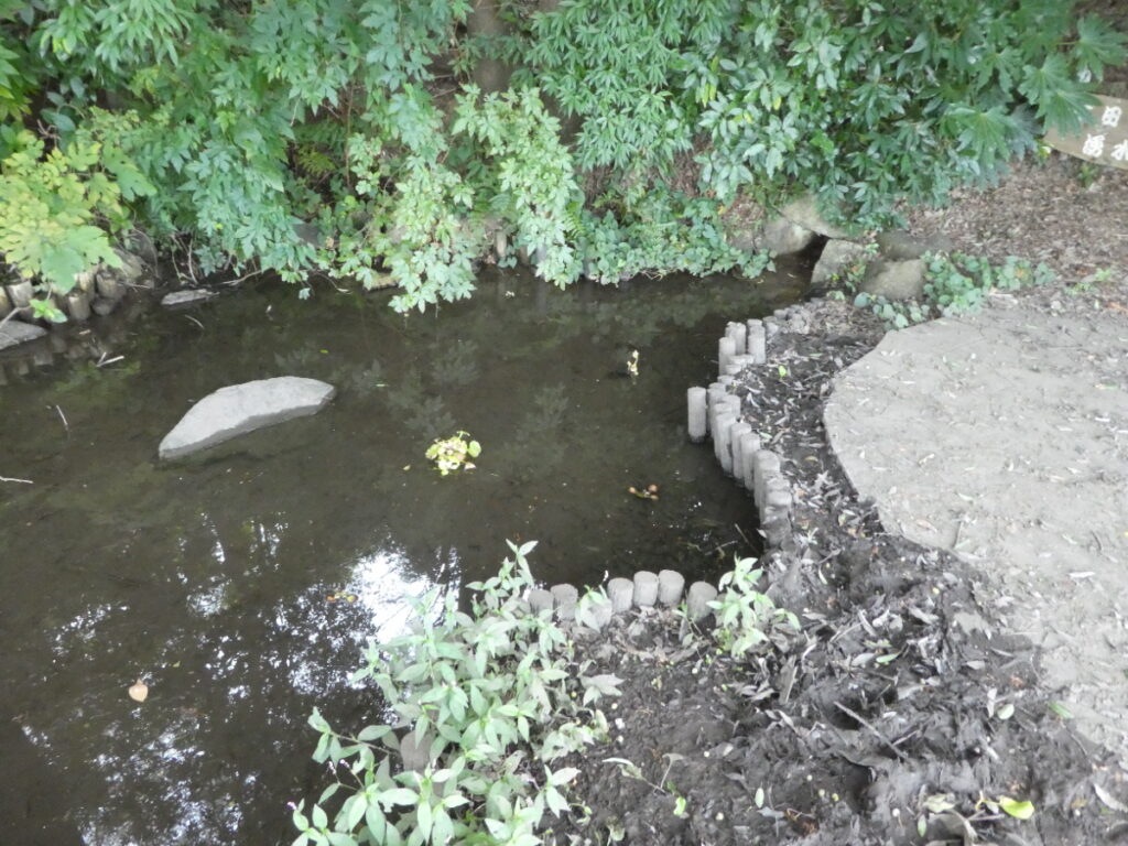 幸田湧水（松戸市幸田）