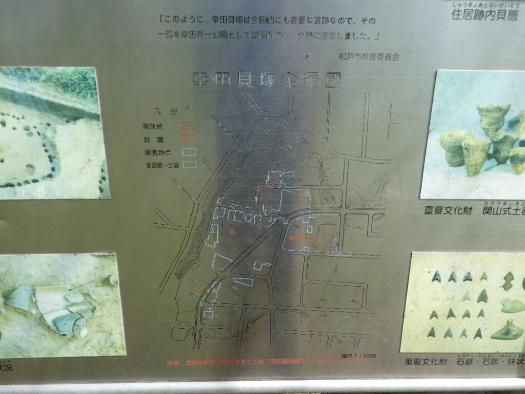 幸田貝塚（松戸市幸田）