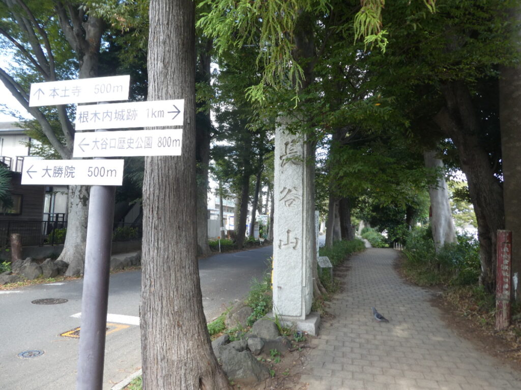 本土寺参道