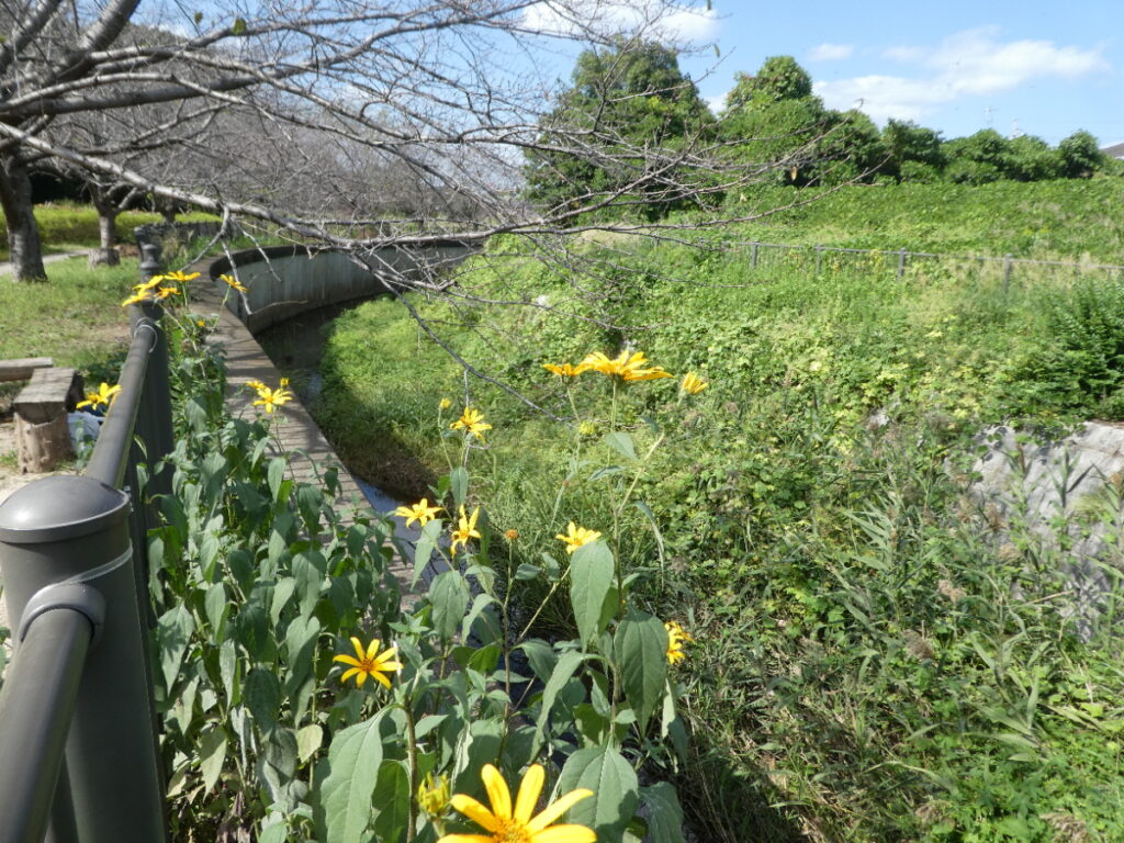 根木内歴史公園(松戸市根木内)