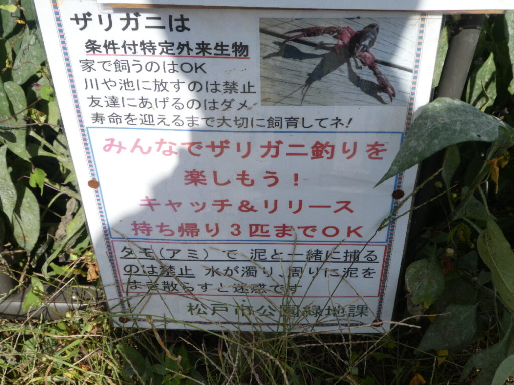 根木内歴史公園(松戸市根木内)