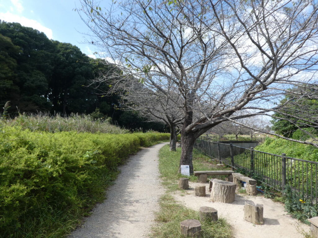 根木内歴史公園(松戸市根木内)