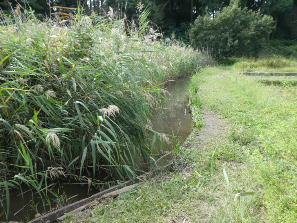 根木内歴史公園(松戸市根木内)