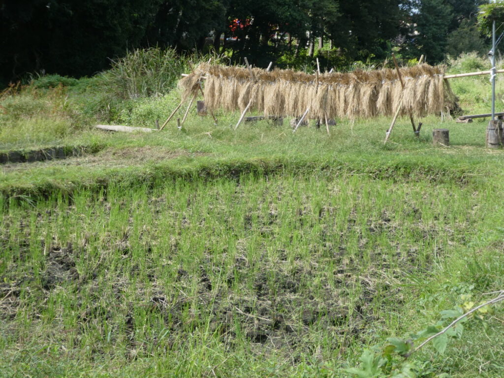 根木内歴史公園(松戸市根木内)
