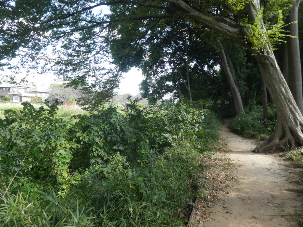 根木内歴史公園(松戸市根木内)