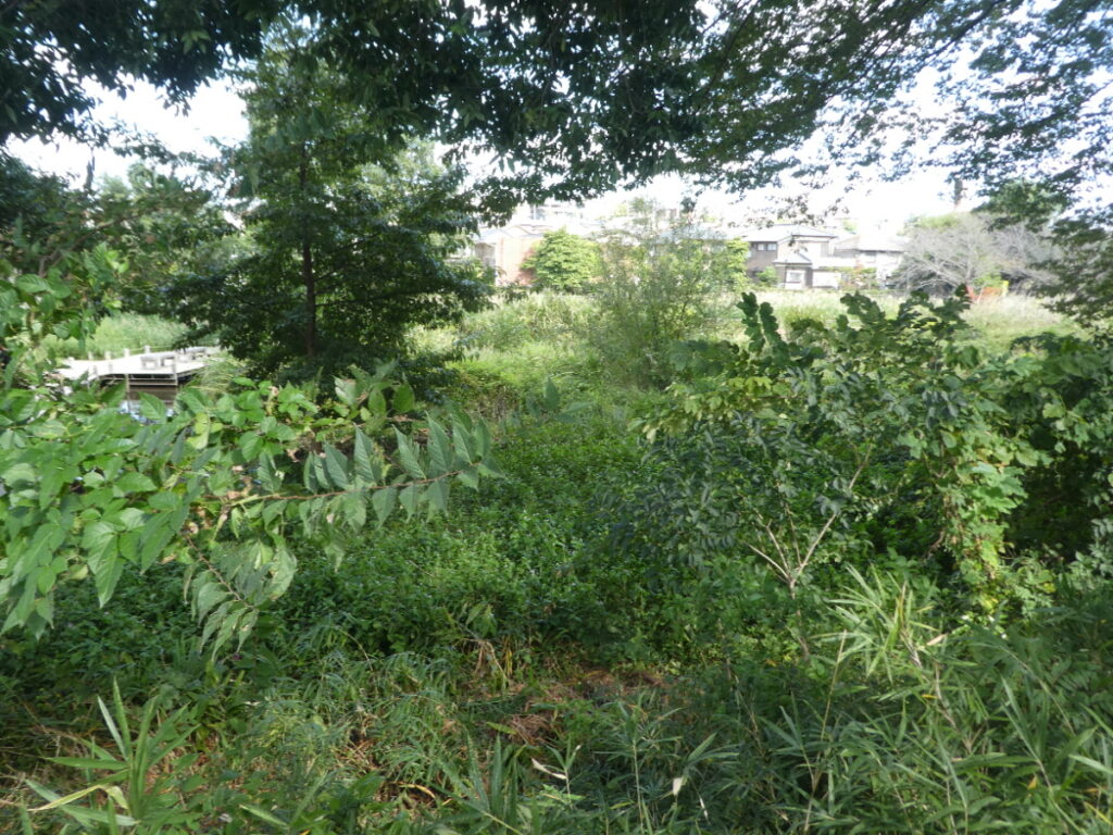 根木内歴史公園(松戸市根木内)