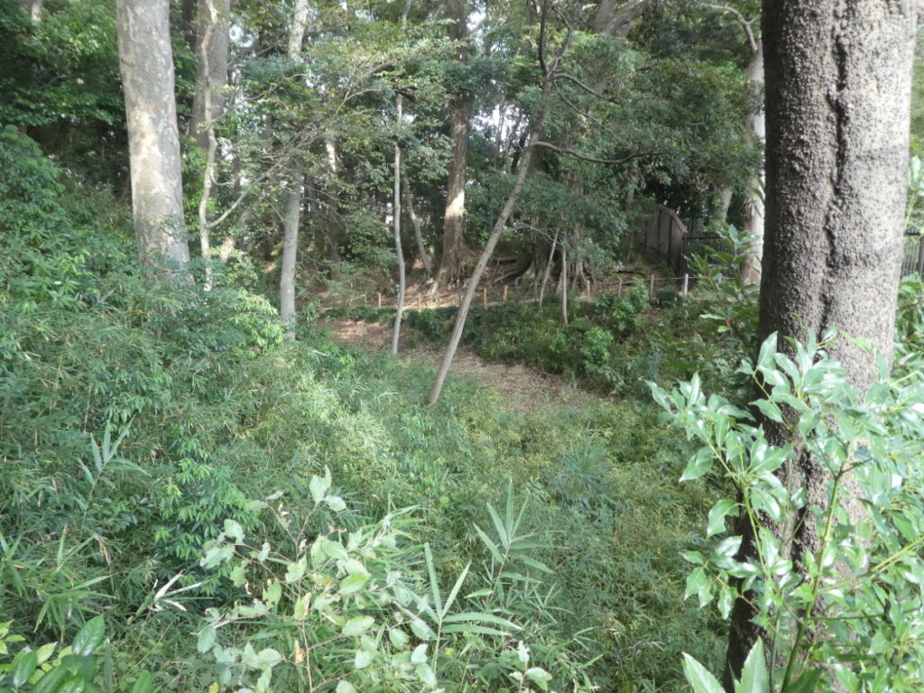根木内歴史公園(松戸市根木内)