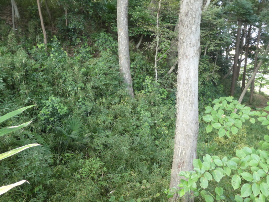 根木内歴史公園(松戸市根木内)