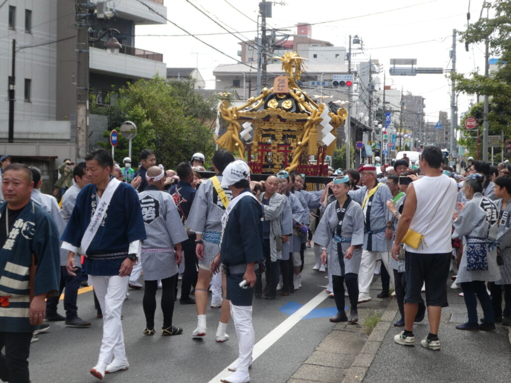 松戸神社祭禮　神輿渡御　2025年10月12日（日）