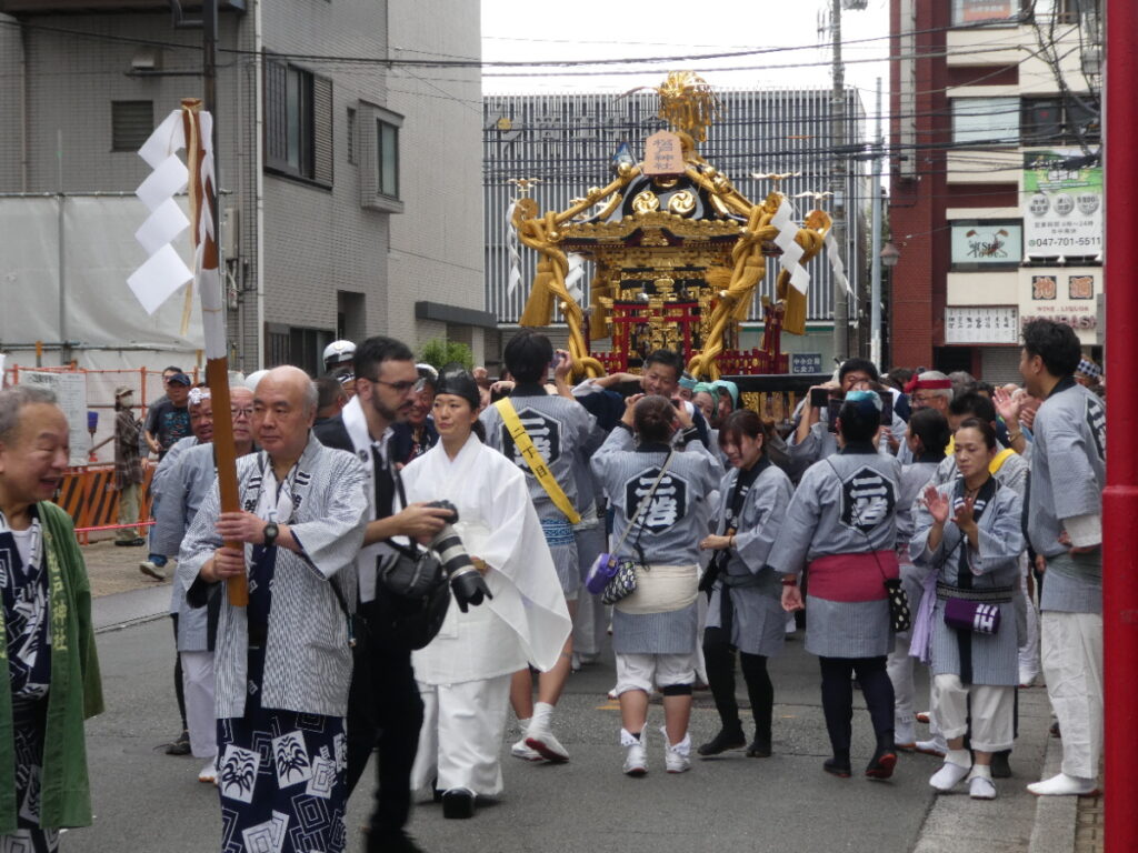 松戸神社祭禮　神輿渡御　2025年10月12日（日）