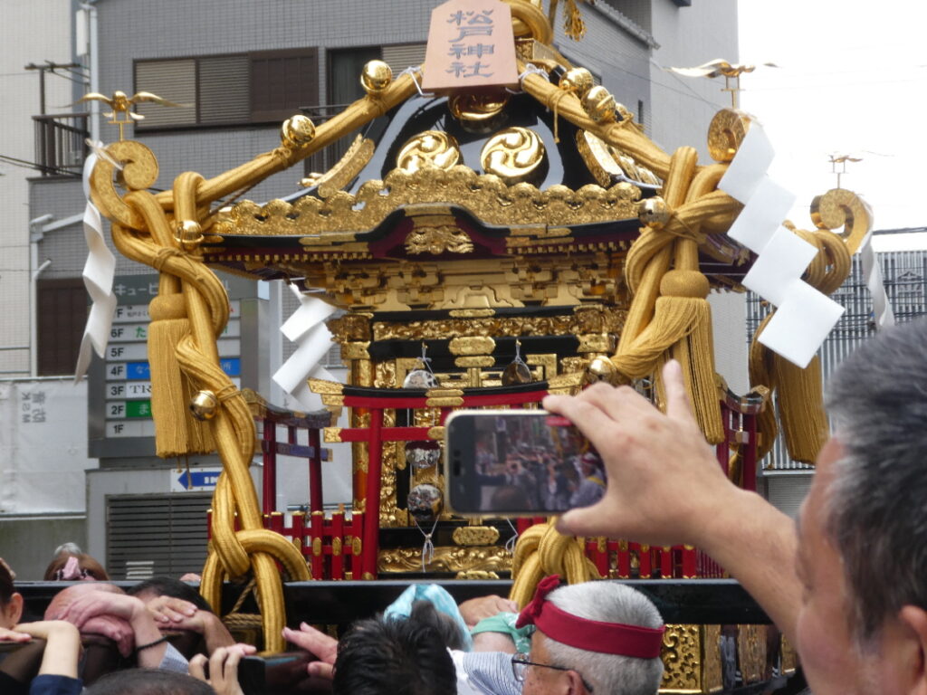 松戸神社祭禮　神輿渡御　2025年10月12日（日）
