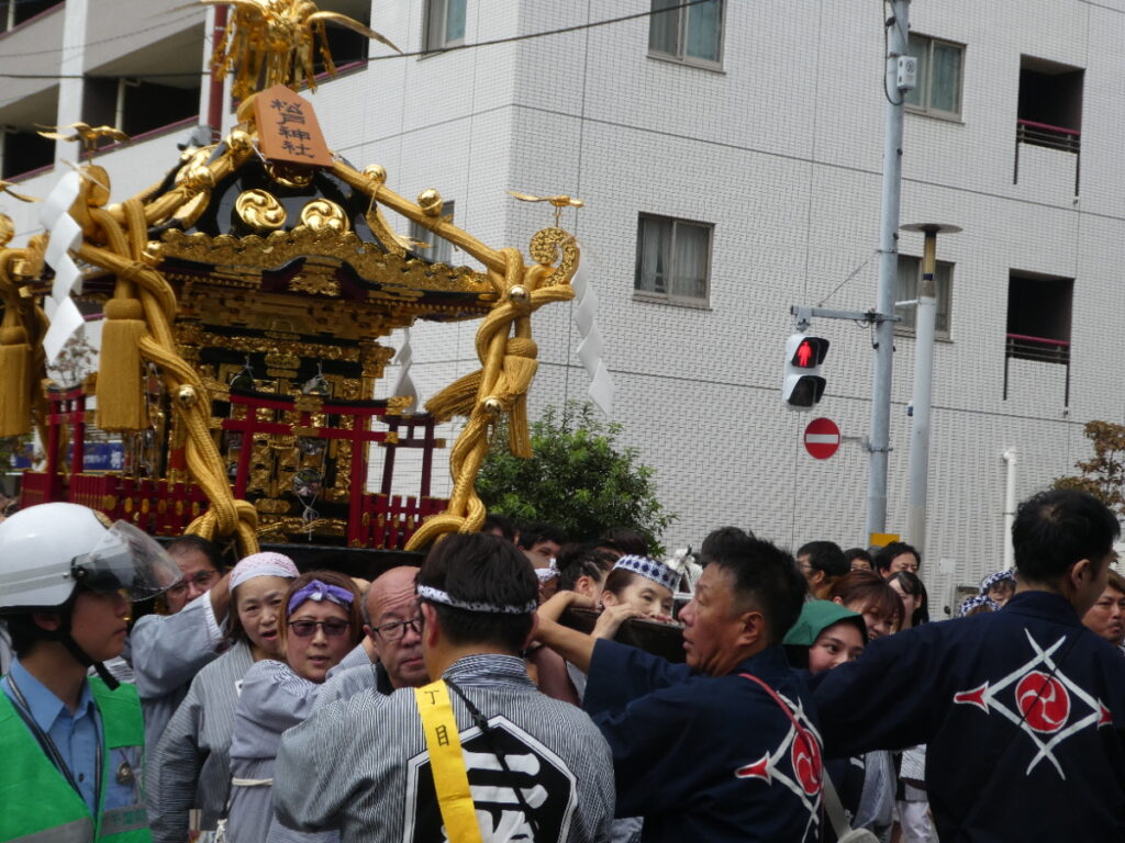 松戸神社祭禮　神輿渡御　2025年10月12日（日）