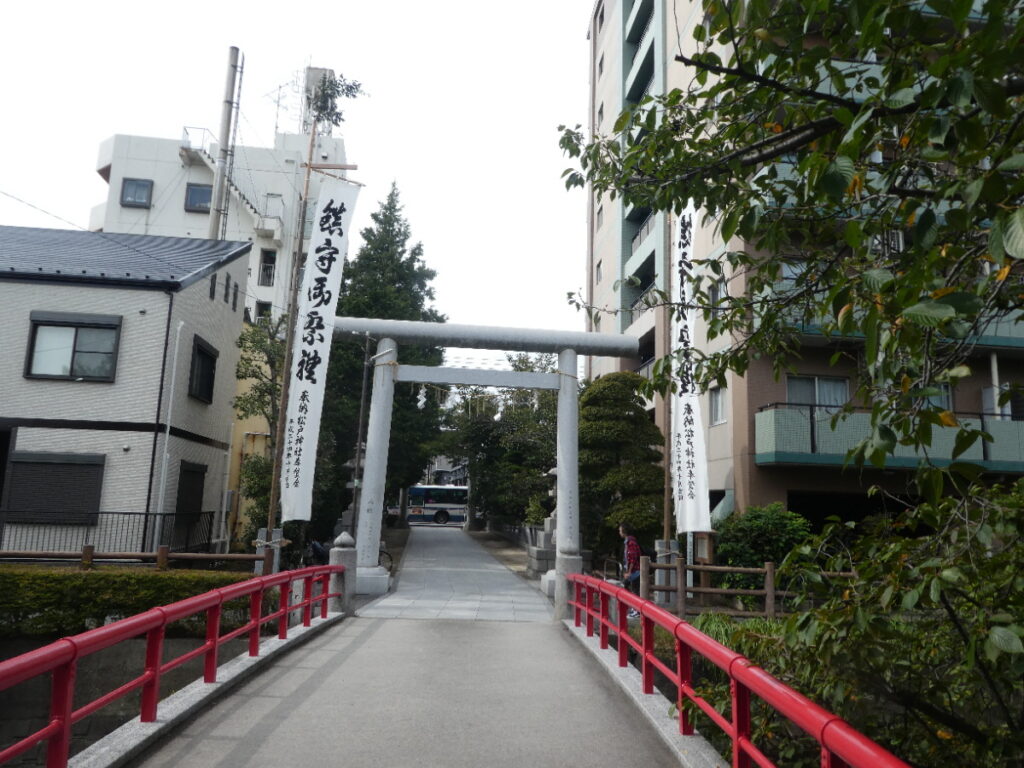 松戸神社祭禮　神輿渡御　2025年10月12日（日）