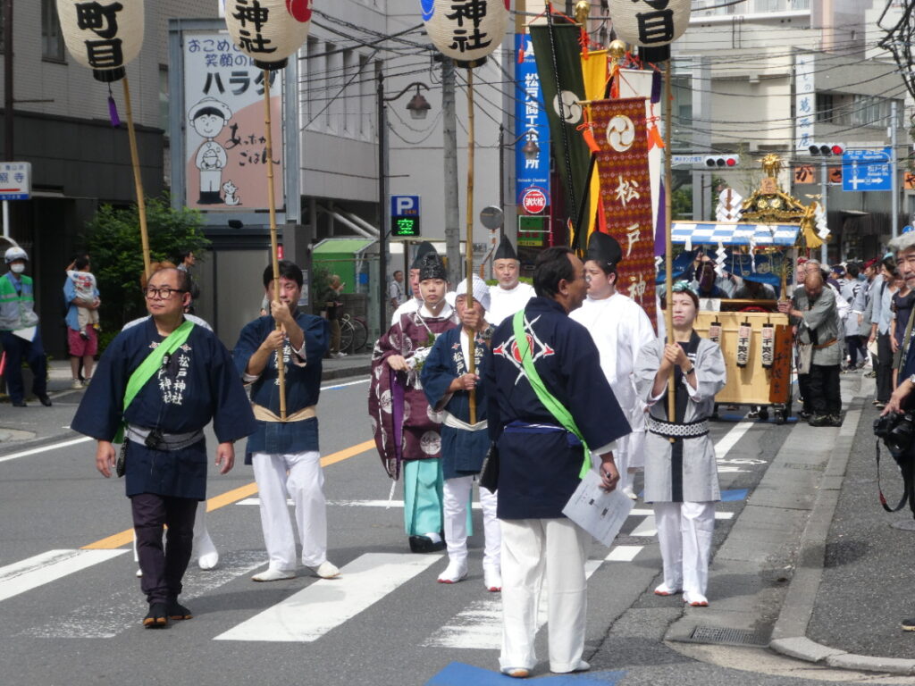 松戸神社祭禮　神輿渡御　2025年10月12日（日）