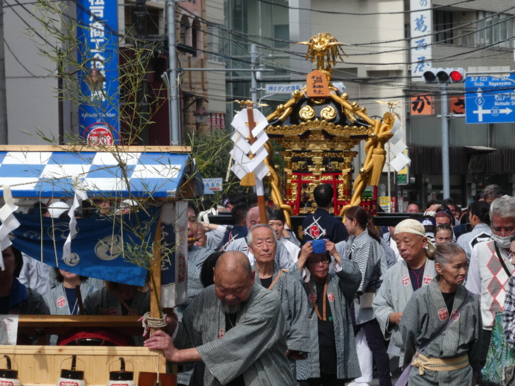松戸神社祭禮　神輿渡御　2025年10月12日（日）