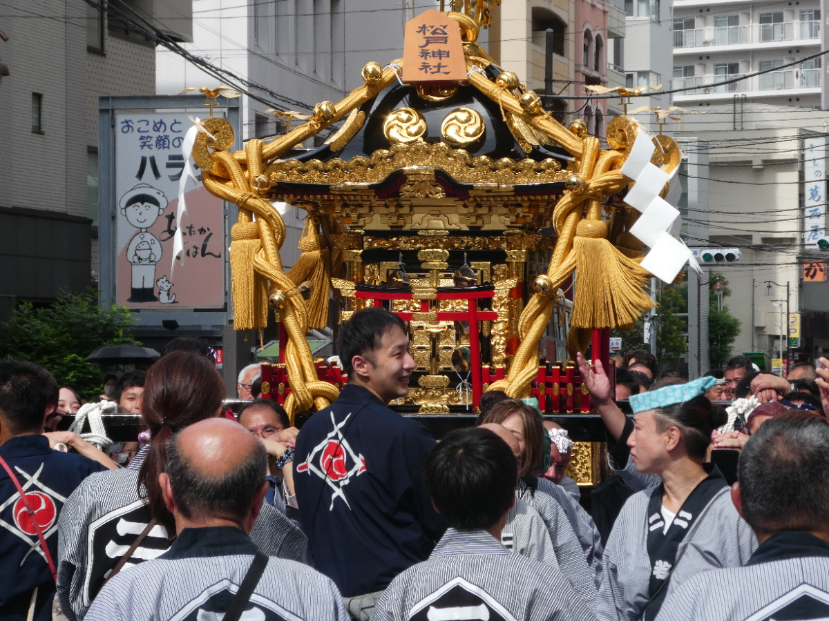 松戸神社祭禮　神輿渡御　2025年10月12日（日）