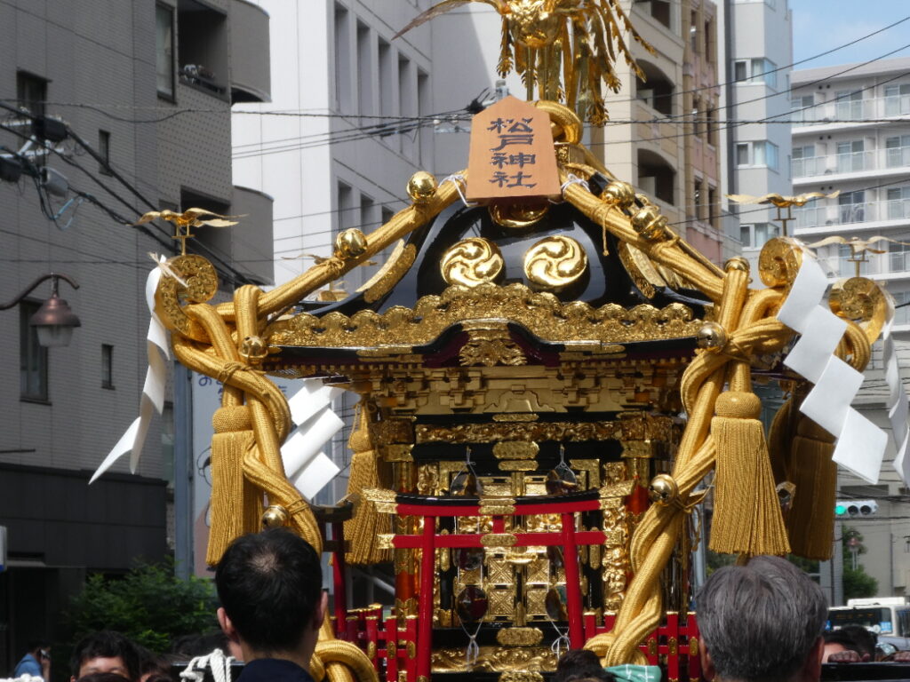 松戸神社祭禮　神輿渡御　2025年10月12日（日）