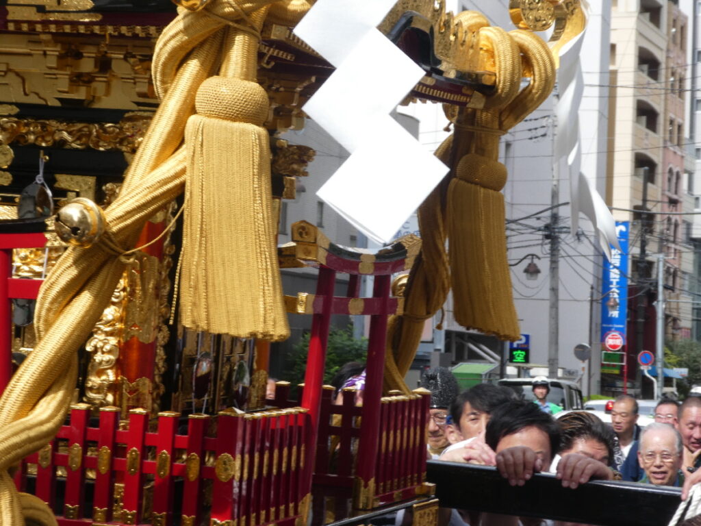 松戸神社祭禮　神輿渡御　2025年10月12日（日）