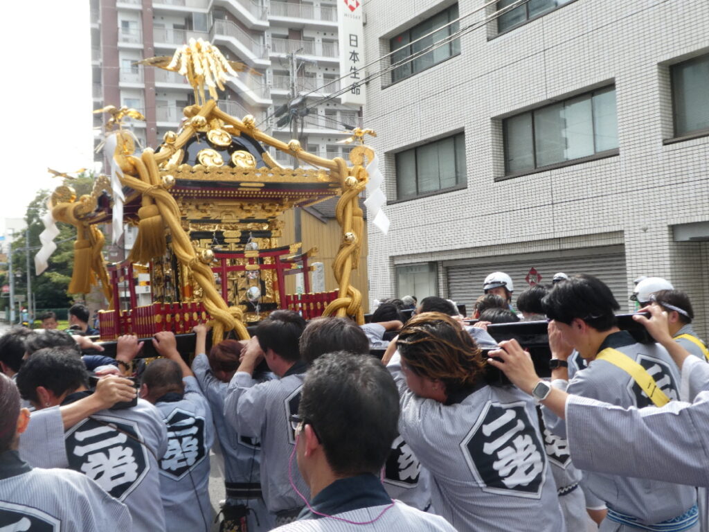松戸神社祭禮　神輿渡御　2025年10月12日（日）