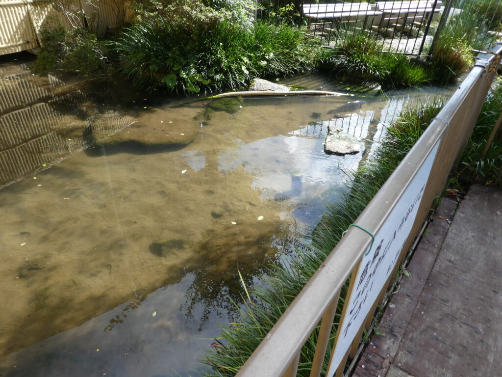 カンスケ井戸(松戸市上本郷)