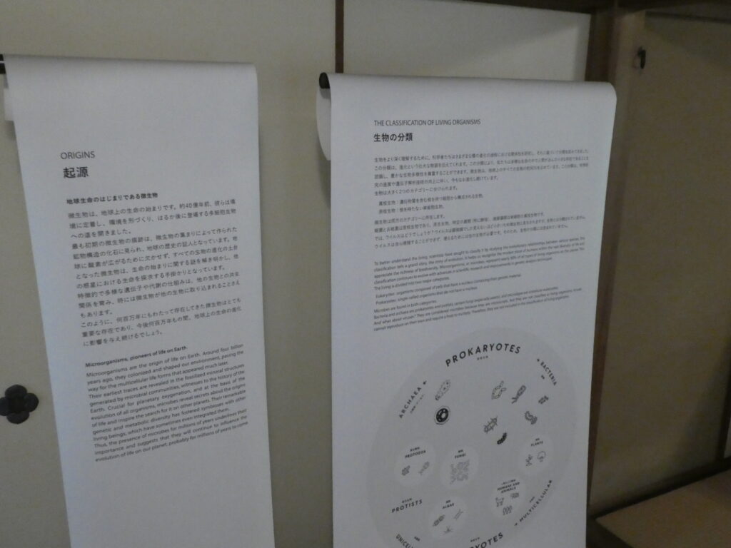 「INVISIBLES:微生物たちの隠された世界」巡回展及びサテライト展示