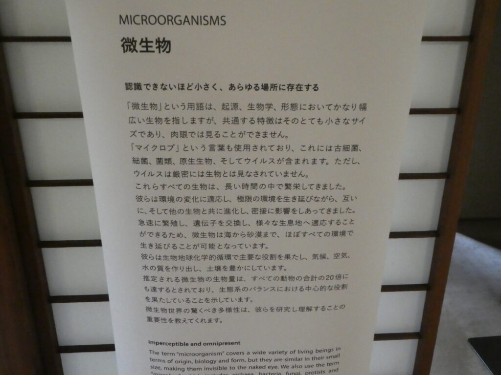 「INVISIBLES:微生物たちの隠された世界」巡回展及びサテライト展示