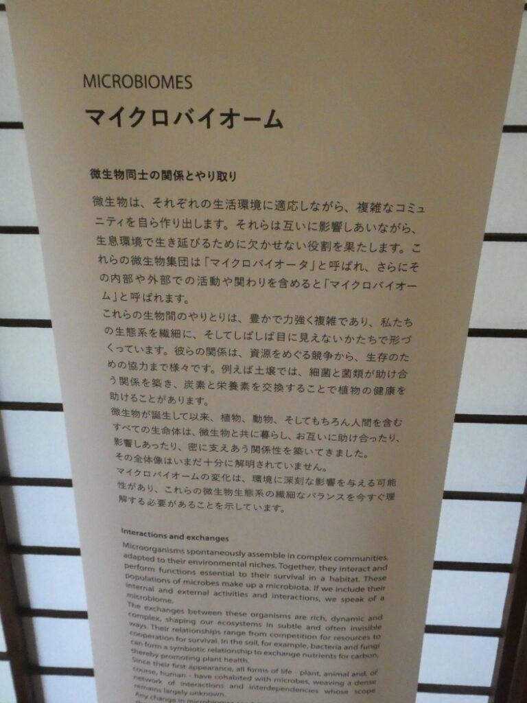 「INVISIBLES:微生物たちの隠された世界」巡回展及びサテライト展示