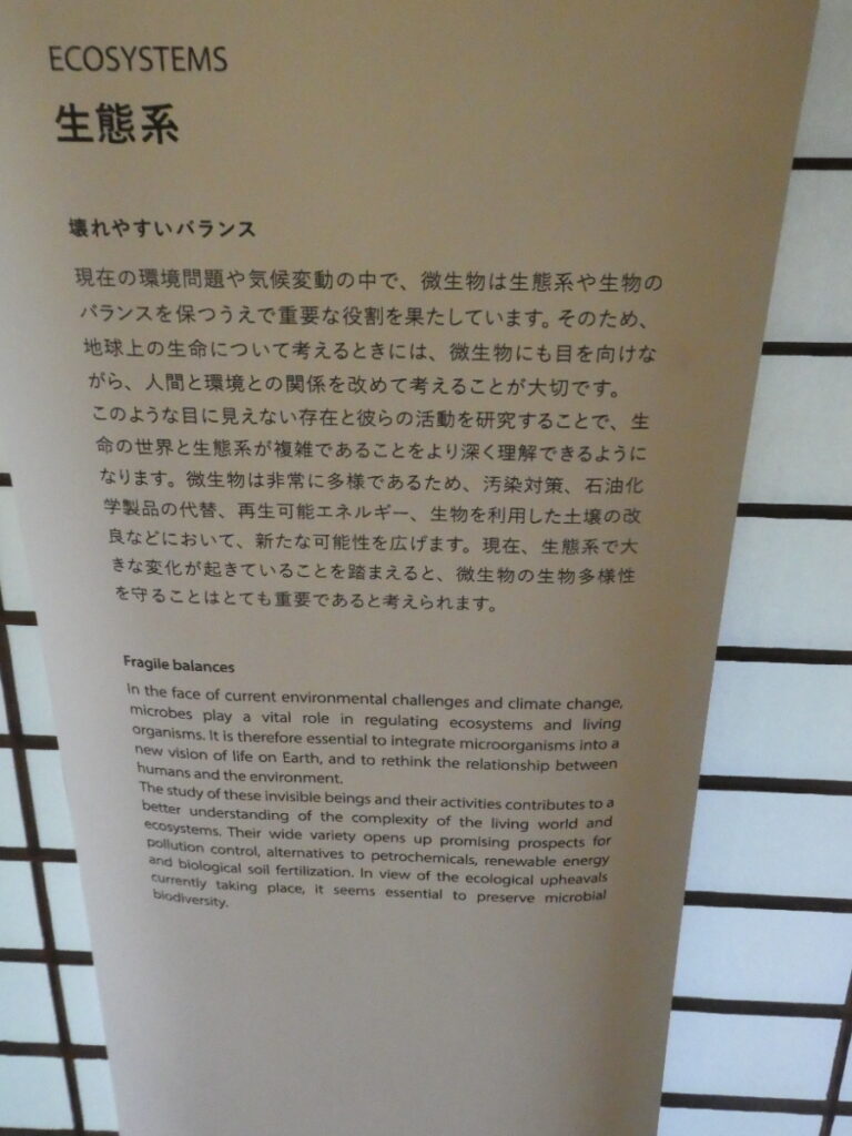 「INVISIBLES:微生物たちの隠された世界」巡回展及びサテライト展示