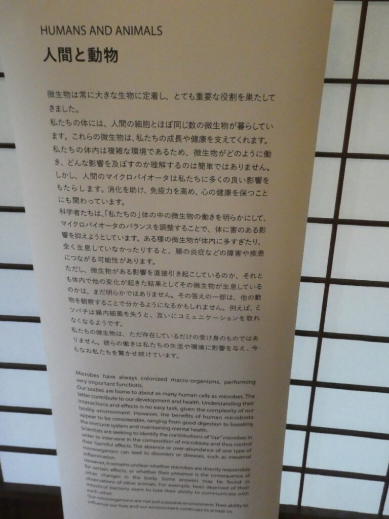 「INVISIBLES:微生物たちの隠された世界」巡回展及びサテライト展示