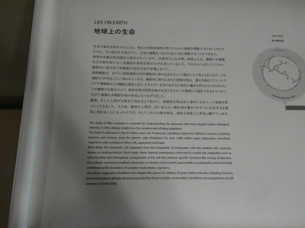 「INVISIBLES:微生物たちの隠された世界」巡回展及びサテライト展示