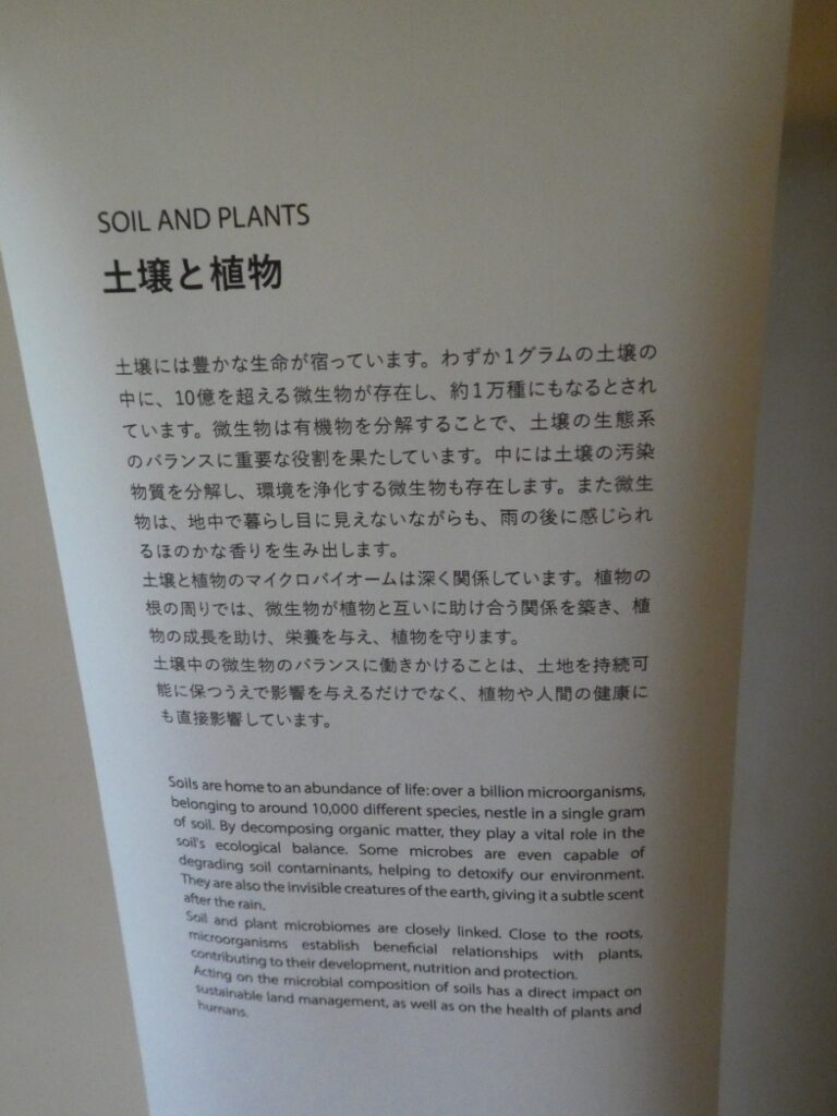 「INVISIBLES:微生物たちの隠された世界」巡回展及びサテライト展示