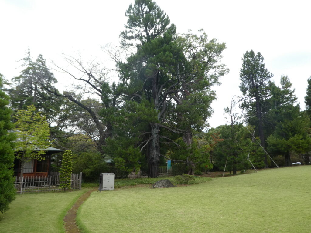 戸定邸(松戸市松戸)