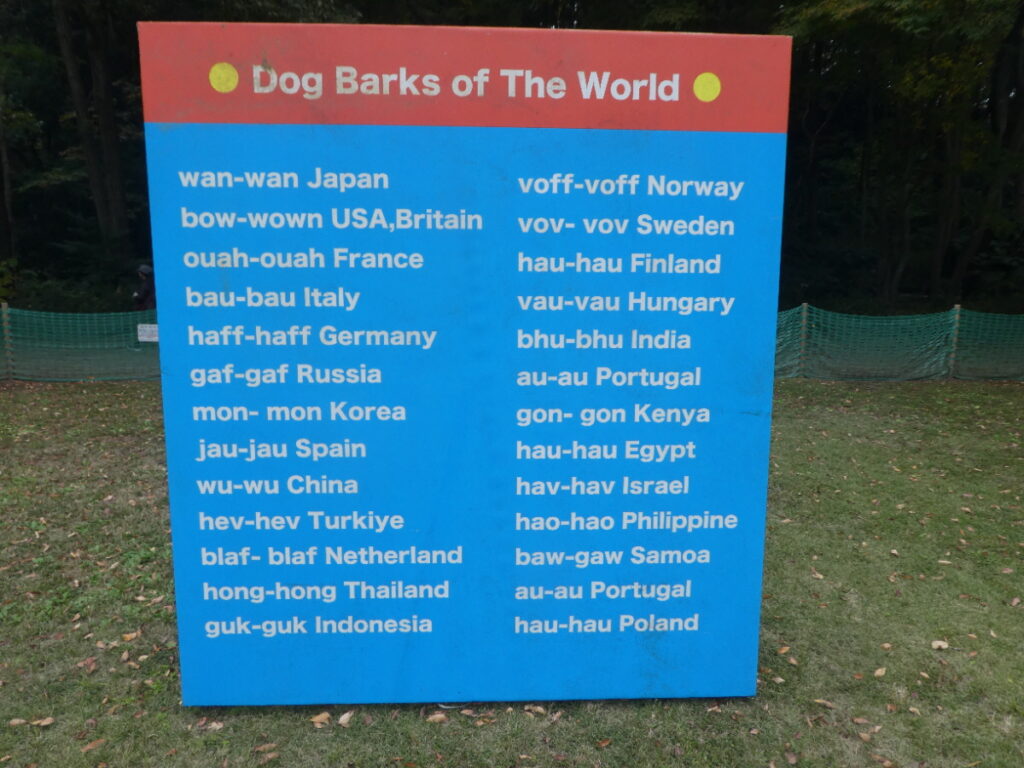 「松戸アートピクニック2025～あそびの遠近法～」犬と人のための休憩所