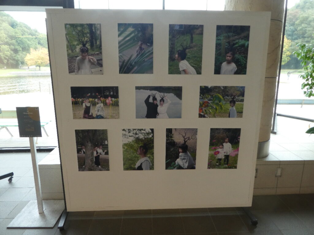 「松戸アートピクニック2025～あそびの遠近法～」森の観察日記