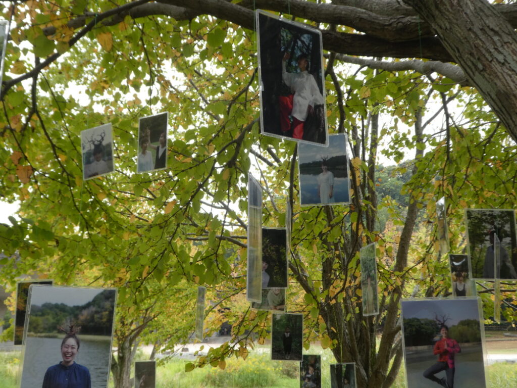 「松戸アートピクニック2025～あそびの遠近法～」memory tree