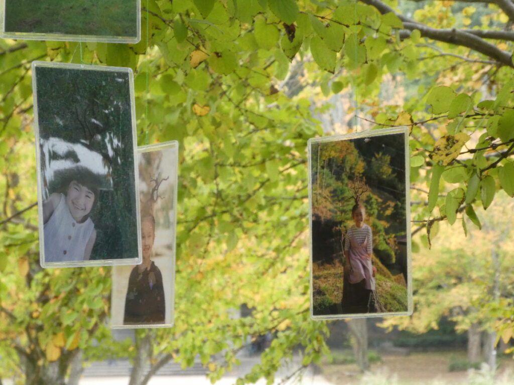 「松戸アートピクニック2025～あそびの遠近法～」memory tree