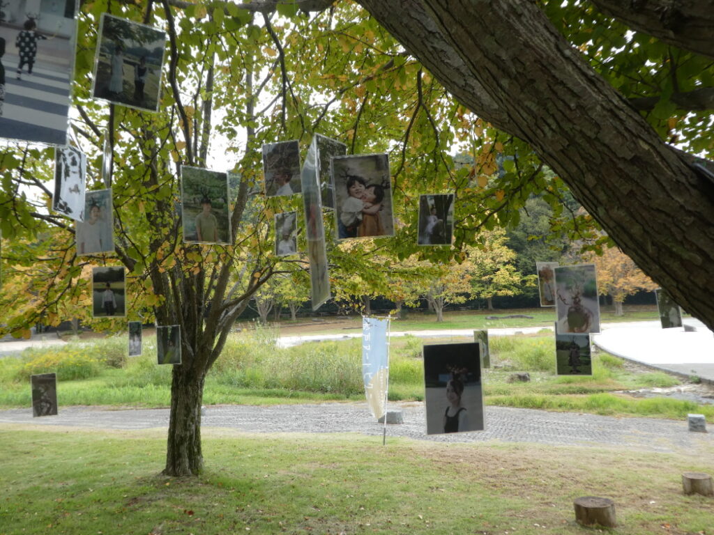 「松戸アートピクニック2025～あそびの遠近法～」memory tree