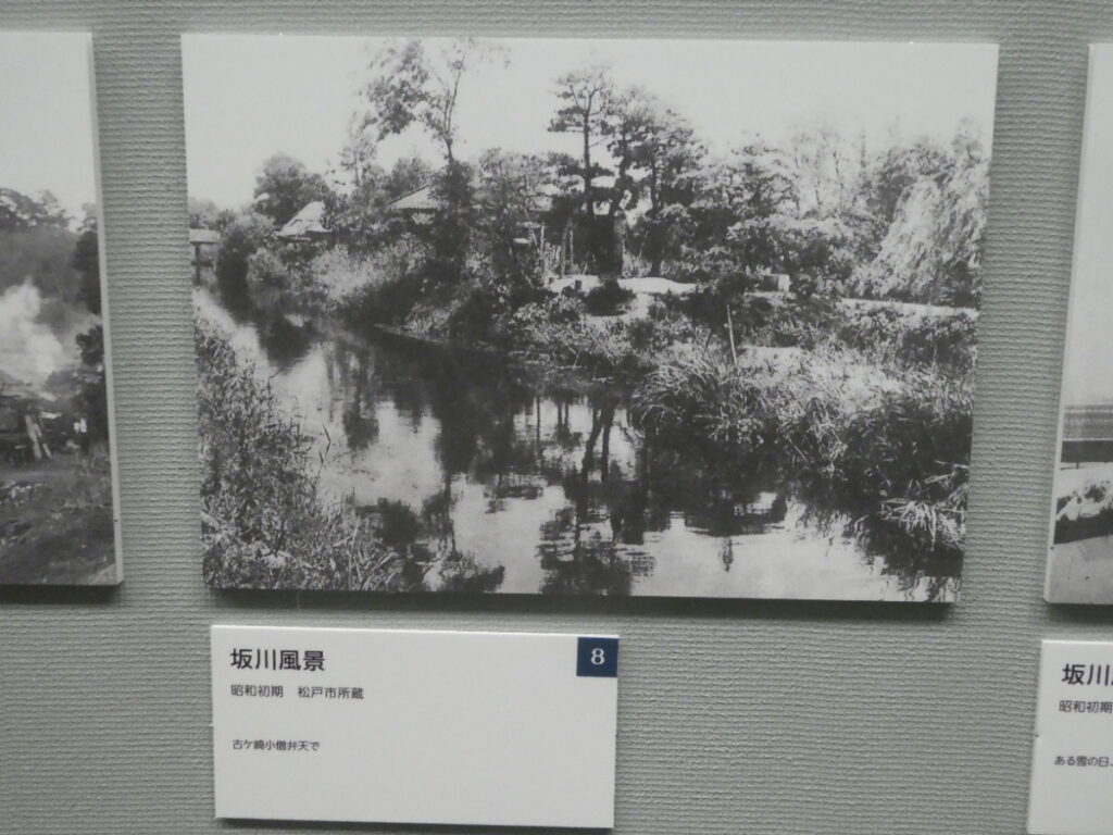 戦前（松戸市）松戸市平和祈念展 未来へとつなぐ平和