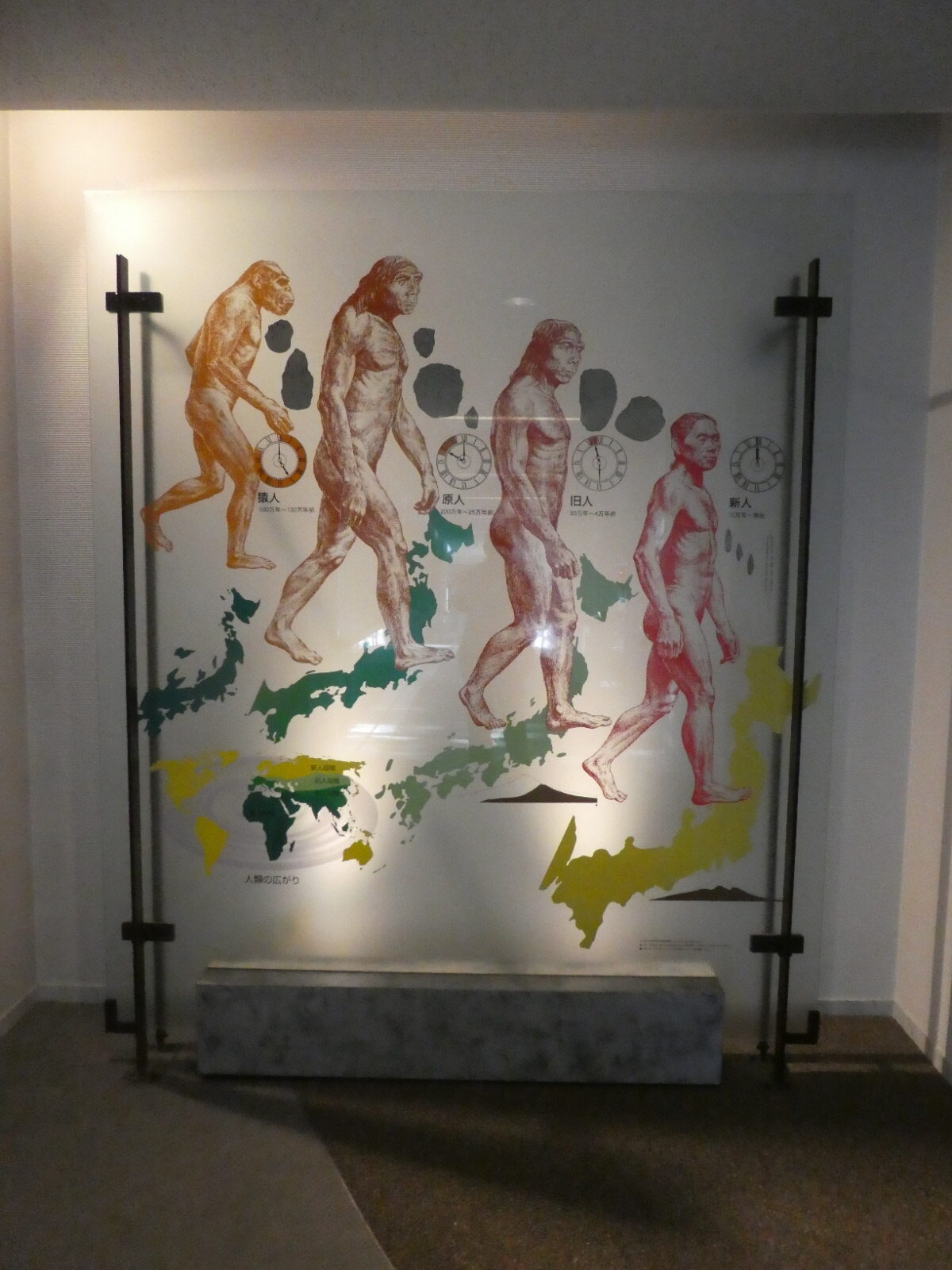 松戸市立博物館 常設展示