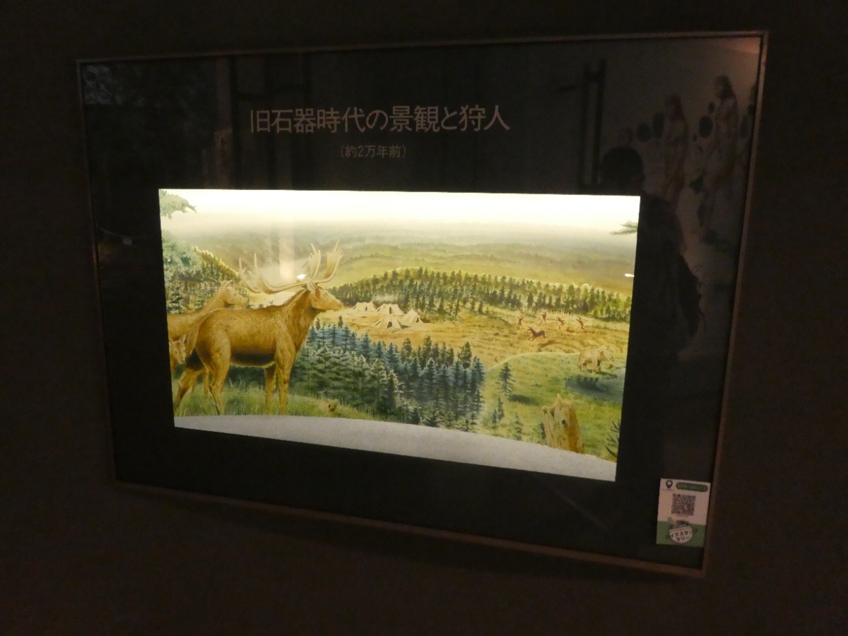 松戸市立博物館 常設展示