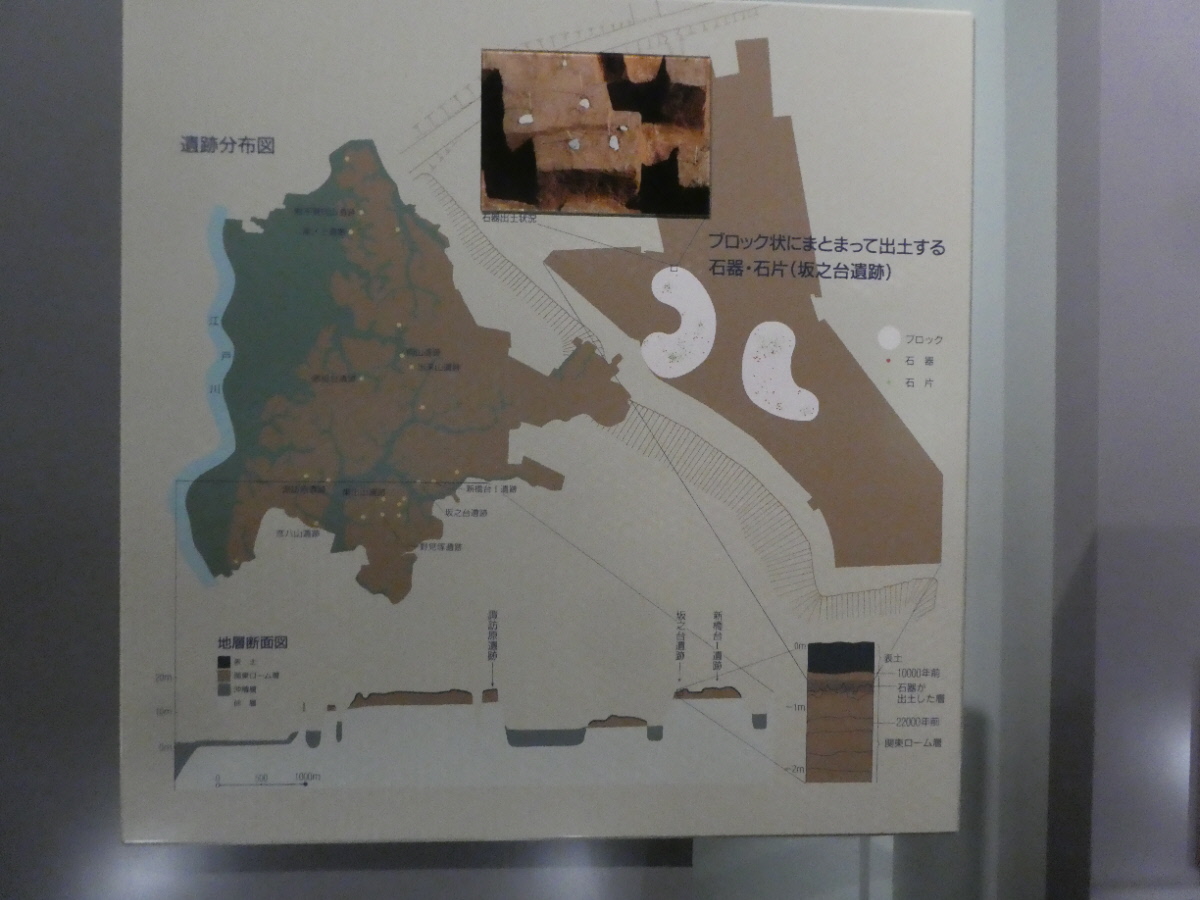 松戸市立博物館 常設展示