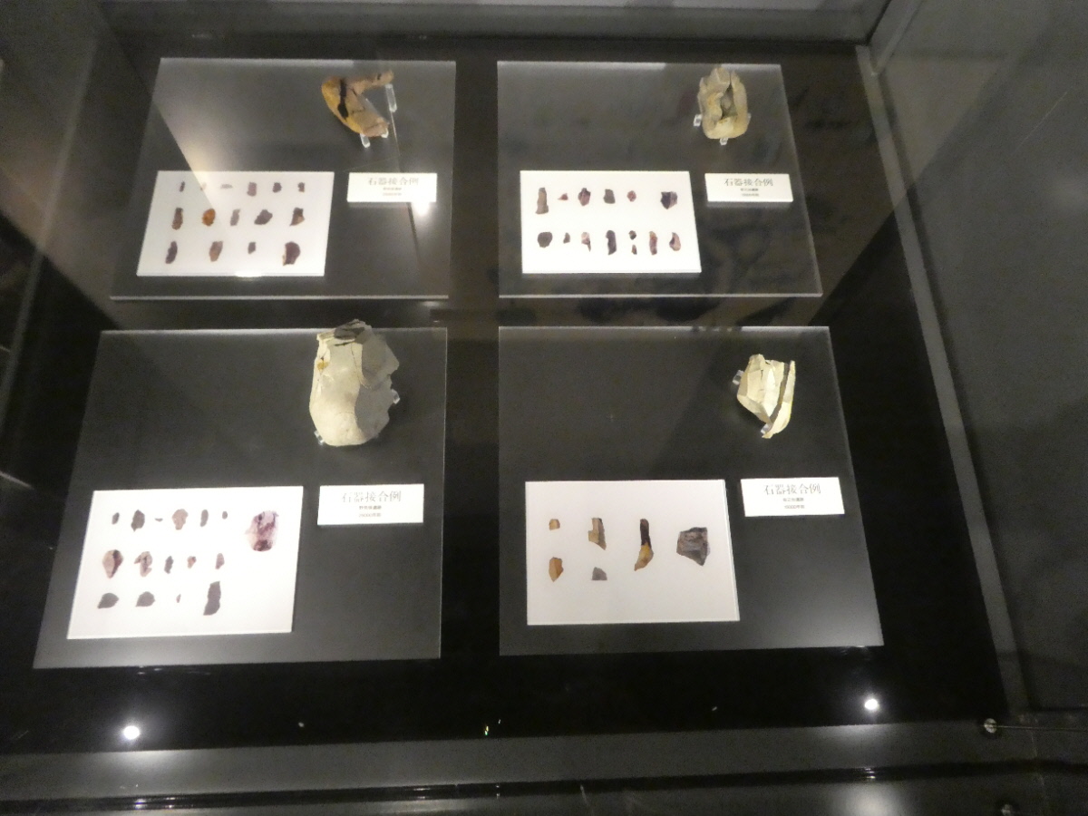 松戸市立博物館 常設展示