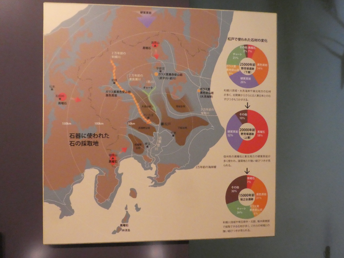 松戸市立博物館 常設展示