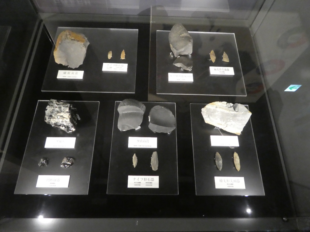 松戸市立博物館 常設展示